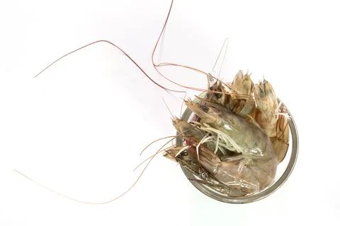 Raw shrimp 스톡 사진