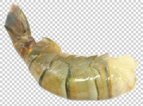 Raw Shrimp Stock Photos