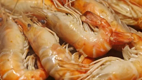 Raw Shrimp Seafood Closeup, Shellfish Crustacean Orange Food Texture raw shrimp Stock Footage 346328337