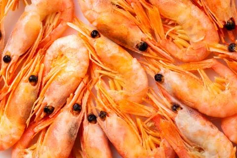 Raw shrimp texture closeup Stock Photos