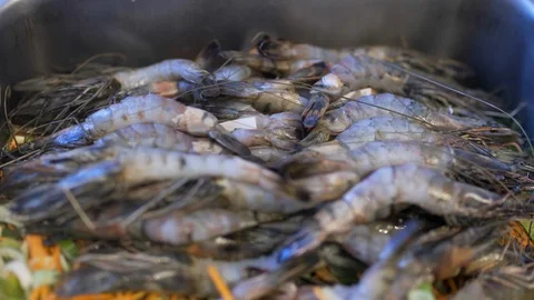 Raw shrimp with vegetables lying on the table 스톡 동영상 94717711