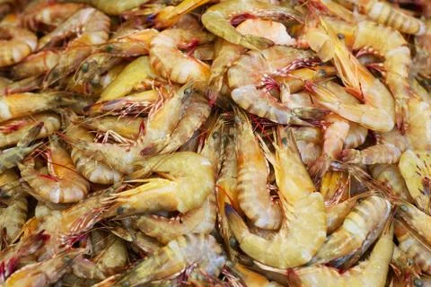 Raw shrimps background Stock Photos