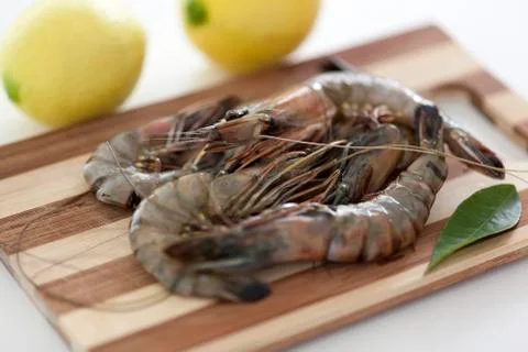 Raw shrimps Stock Photos