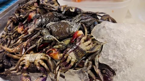 Raw small crabs on ice, Thailand Vídeos de archivo 344373314