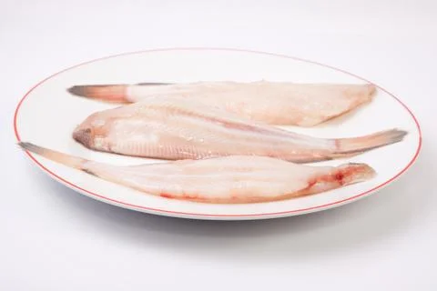 Raw sole fish Stock Photos