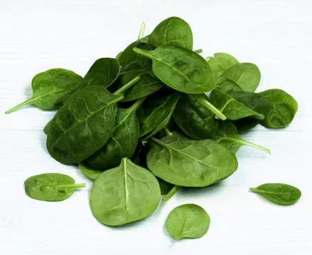 Raw Spinach Leafs Stock Photos