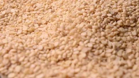 Raw Split Dried White Urad Dal Drops - Split Raw Black Gram Lentils Isolated Stock Footage 325161242