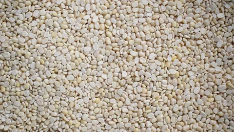 Raw split white Urad lentils Stock Footage 152209614