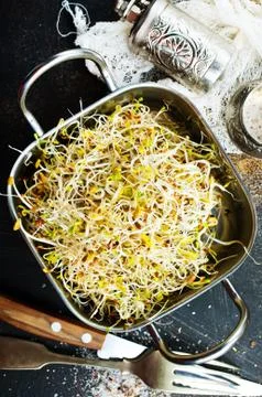 Raw sprouts Stock Photos
