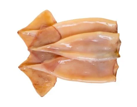 Raw squid close-up Stock-Fotos