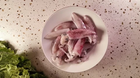 Raw Squid on Plate, Seafood Ingredient Stock Footage 262313415