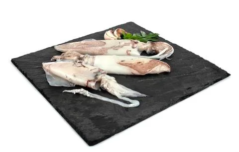 Raw squid in studio Stock Photos