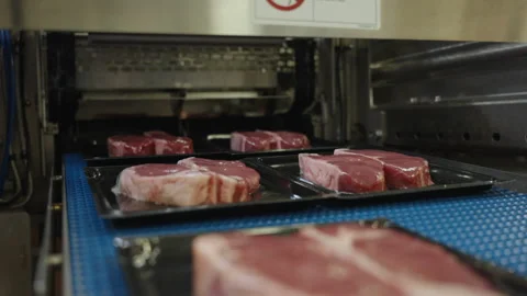 Raw Steaks Moving into Packaging Machine on Plastic Trays Stock Footage 341841876