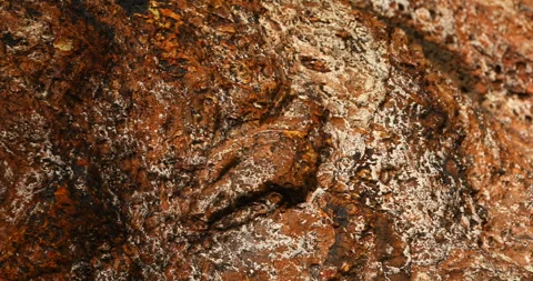 Raw stone Texture in the Cave Stock Footage 291772052