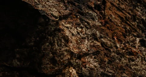 Raw stone Texture in the Cave Stock Footage 291778258