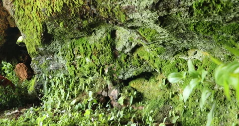 Raw stone Texture in the Cave Stock Footage 291908302