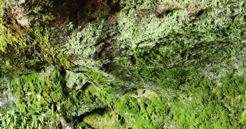 Raw stone Texture in the Cave Stock Footage 291908661