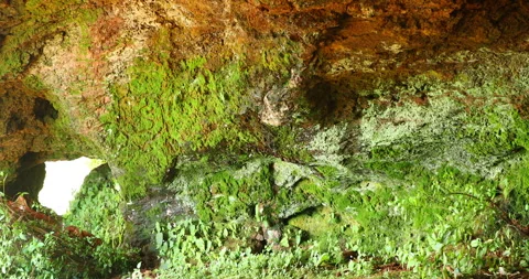 Raw stone Texture in the Cave Stock Footage 291910793