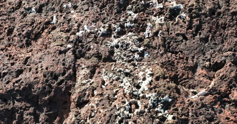 Raw stone Texture in the Cave Stock Footage 293124923