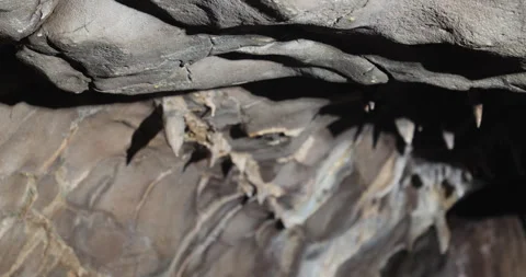 Raw stone Texture in the Cave 스톡 동영상 335612057