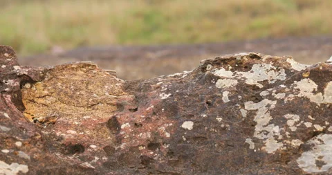Raw stones Texture at Beach Vídeo Stock 335676540