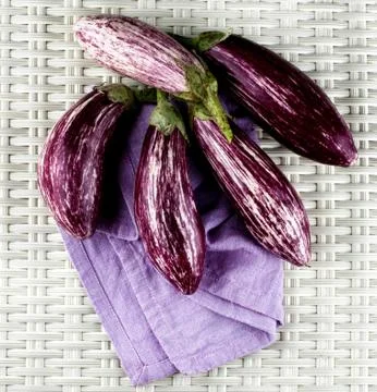 Raw Striped Eggplants Stock Photos