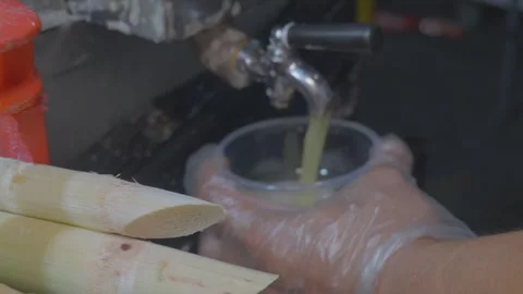 RAW Sugar Cane Extract Through an industrial juicer Video stock 307999917