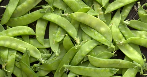 Raw sugar snap pea texture background. Stock Footage 297379425