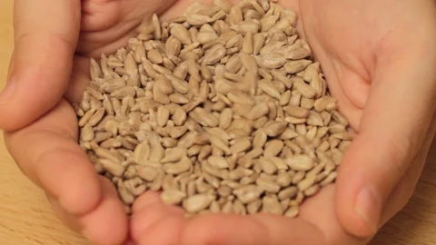 Raw sunflower seeds Stock Footage 121263663