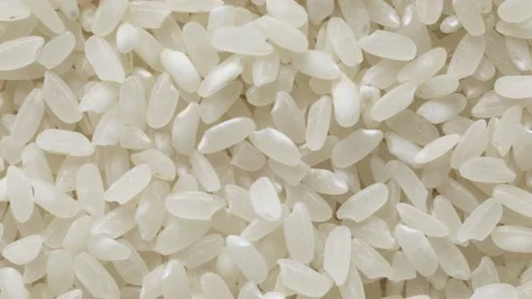 Raw sushi rice full frame close up Stock Footage 172141562