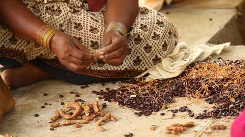Raw Tamarind Stock Footage 50593160