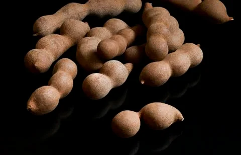 Raw tamarind fruit Stock Photos
