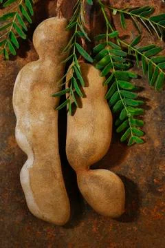 Raw tamarind Stock Photos