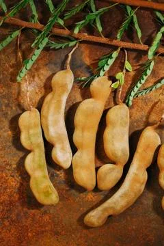 Raw tamarind Stock Photos