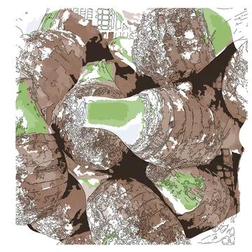 Raw taro pile Stock Illustration