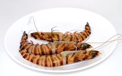 Raw tiger prawns Stock Photos