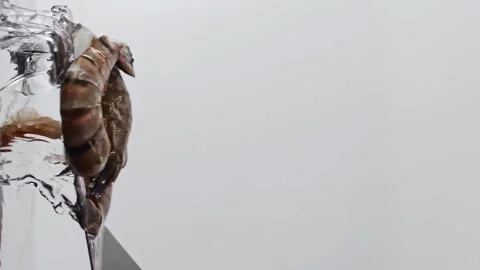 Raw tiger shrimp fillets are cooked in water on a steel spatula. Slow motion. Stock-Footage 273076819