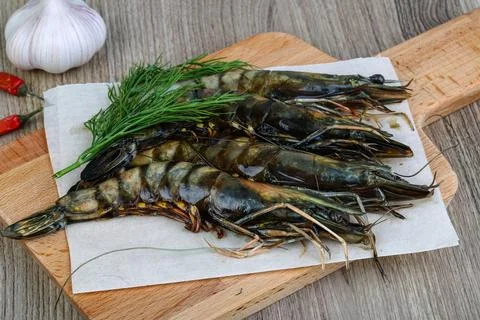 Raw tiger shrimps Stock Photos