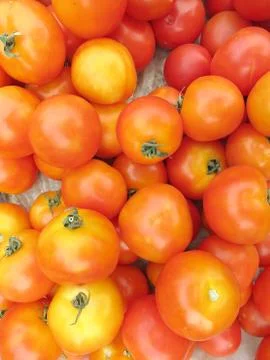 Raw tomatoes Stock Photos