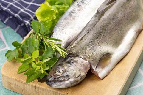 Raw trout on a cutting board Stock Photos
