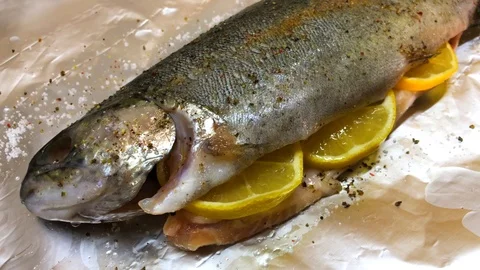 Raw Trout Fish With Lemon Stock Footage 101756187