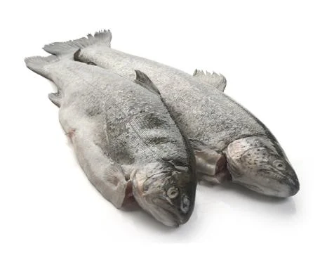 Raw trout Stock-Fotos