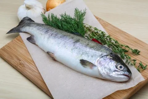 Raw trout Foto stock