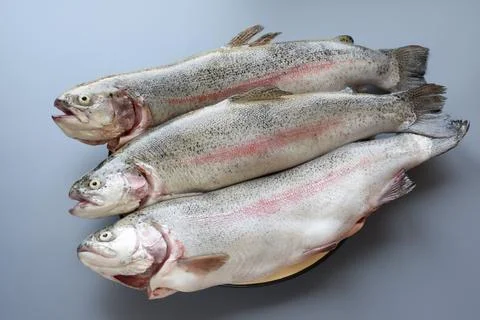 Raw trout Stock Photos