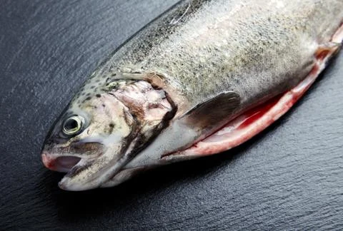 Raw trout on stone backround Stock Photos