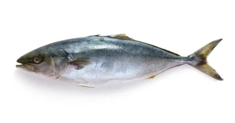 Raw tuna fish Stock Photos