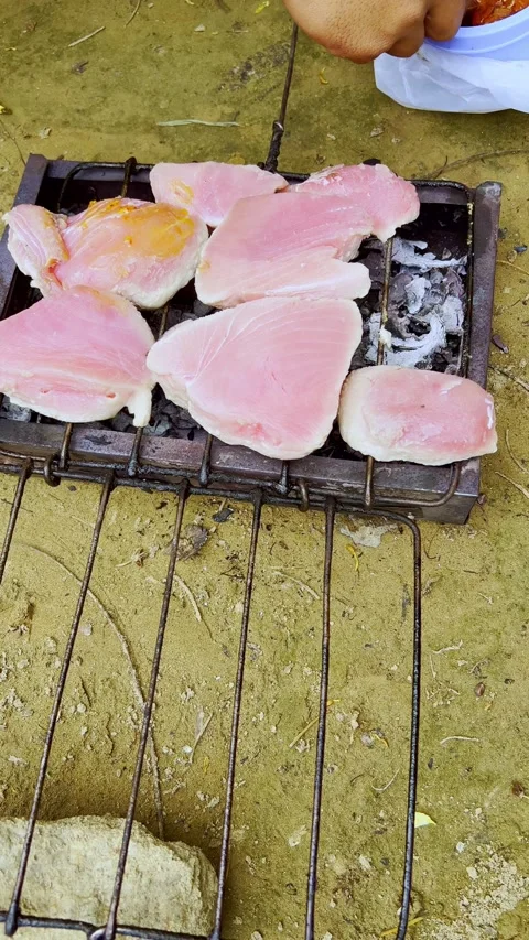 Raw Tuna Steaks Grilling on Coals Video stock 332335897