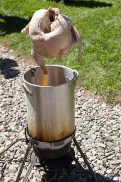 Raw turkey about to be carefully dropped into the outdoor propane frier pot. Stock Photos