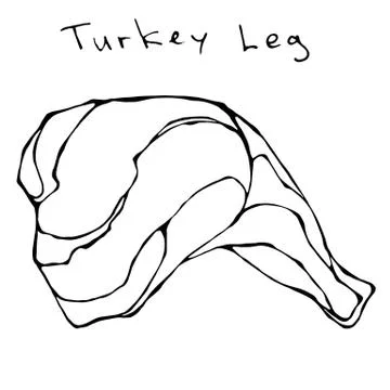 Raw Turkey Leg. Realistic Vector Illustration Isolated Hand Drawn Doodle or Illustration