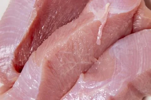 Raw turkey steaks on a close-up. Turkey breast fillet full screen. Stock Photos